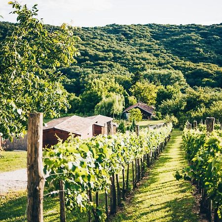 Dutch Hill Bed & Breakfast Zalacsány Екстериор снимка