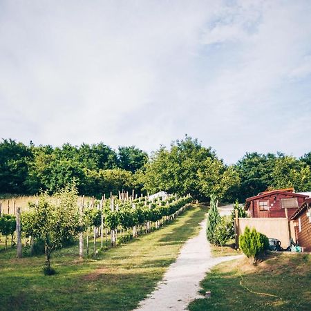 Dutch Hill Bed & Breakfast Zalacsány Екстериор снимка