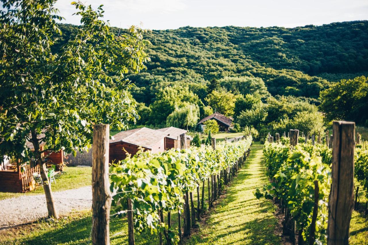 Dutch Hill Bed & Breakfast Zalacsány Екстериор снимка